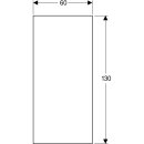 Geberit GIS Paneel 1300 x 600 x 18 mm, Baustoffklasse A2