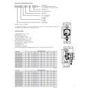 Lowara 15-6/130 ecocirc M+ HE - Heizungpumpe