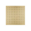 Herzbach DESIGN IX PVD Regenbrause square 200*200 mm Brass