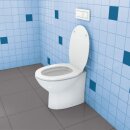 TOX-Stand-WC-Befestigung Toilet Plus